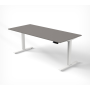 SET : Steh-Sitz Schreibtisch ERGO + ERGO Bürostuhl