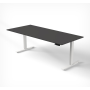 SET : Steh-Sitz Schreibtisch ERGO + ERGO Bürostuhl