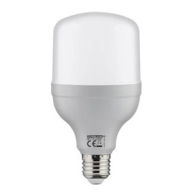 TORCH-20W-E27-LED Lampen