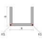 ProFORM U-Winkel GKF 12.5mm + KS