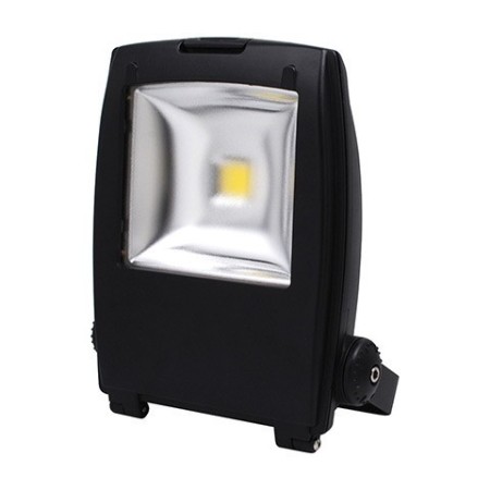 JAGUAR-30W-6500 K-LED Projektoren / LED Wasserdichte Lampen