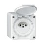 HAGER Steckdose Robusto T23 weiss
