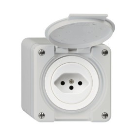 HAGER Steckdose Robusto NAP T13 lichtgrau