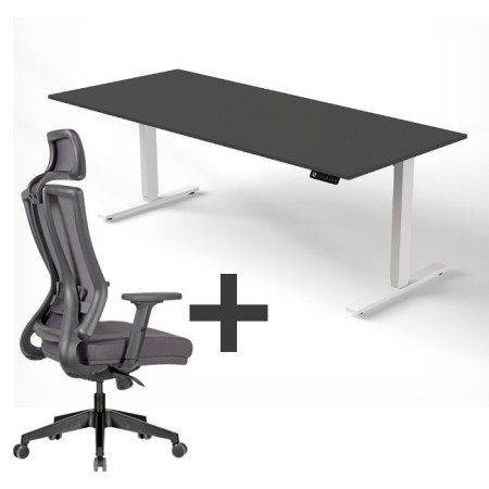 SET : Steh-Sitz Schreibtisch ERGO + ERGO Bürostuhl WOLFSTAHL Schrei...