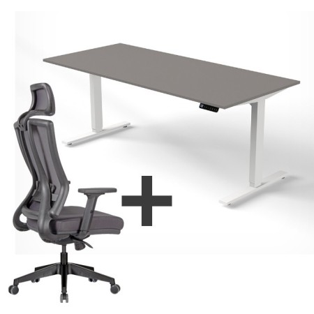 SET : Steh-Sitz Schreibtisch ERGO + ERGO Bürostuhl WOLFSTAHL Schrei...