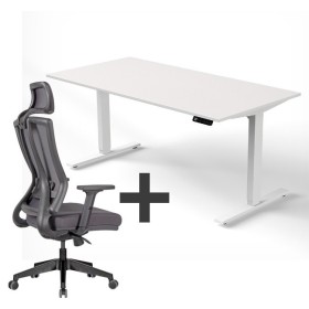 SET : Steh-Sitz Schreibtisch ERGO + ERGO Bürostuhl WOLFSTAHL Schrei...