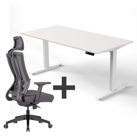 SET : Steh-Sitz Schreibtisch ERGO + ERGO Bürostuhl WOLFSTAHL Schrei...