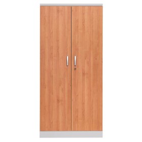 Stahlschrank Erle/Grau
