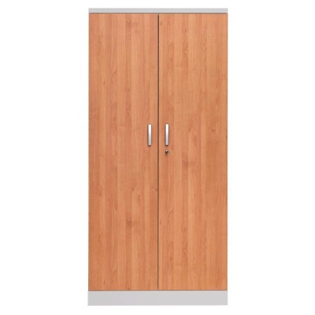 Stahlschrank Erle/Grau