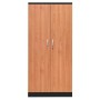 Stahlschrank Erle/Schwarz