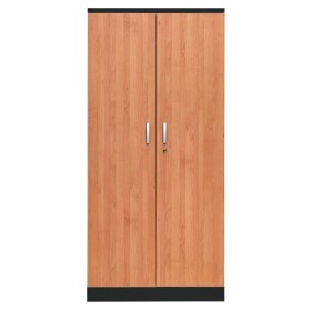 Stahlschrank Erle/Schwarz