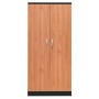 Stahlschrank Erle/Schwarz