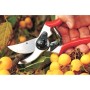 Gartenschere Bypass Felco 11
