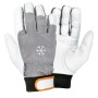 Arbeitshandschuhe COLDEXT